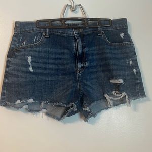 Aerie Distressed Daydream Denim Shorts Size L
